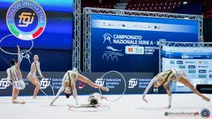 farfalle foto simone ferraro sfa00969